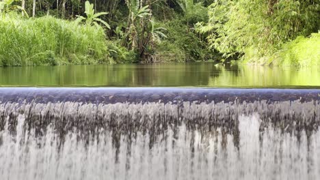 Kleiner-Damm,-Der-Von-Landwirten-Für-Landwirtschaftliche-Zwecke-Genutzt-Wird,-Bewässerung-Von-Pflanzen,-Hochwasserschutz,-Wasserspeicherung,-Nachhaltigkeit-Auf-Bali