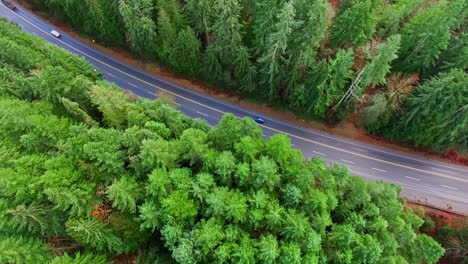 Cars-Driving-Along-Road-Through-Pine-Forest-in-Port-Alberni-Region,-British-Columbia-Canada,-Aerial-Top-Down-View
