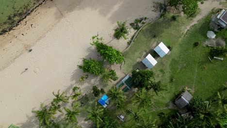 Aerial-Top-View-of-Stunning-White-Sand-Beach-Resort-with-tiny-houses-and-palm-trees-in-Virac-Catanduanes
