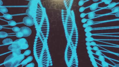 Rotierende-Animation-Des-Menschlichen-Genoms-Von-DNA-Helix,-Desoxyribonukleinsäure,-Konzept-Des-Klonens-Menschlicher-Gene