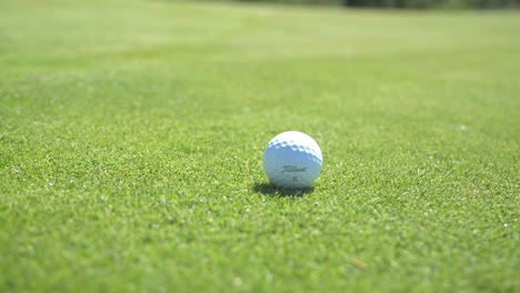 Golfspieler-Legt-Golfball-Nieder,-Nachdem-Er-Den-Münzmarker-Vom-Grün-Entfernt-Hat