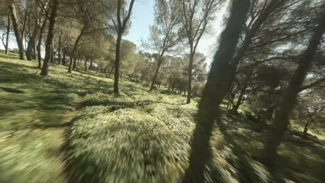 High-frame-rate-FPV-aerial-chases-racing-drone-through-open-forest
