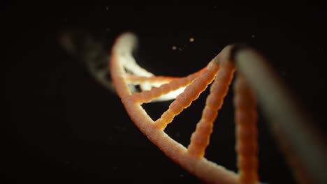 Realistische-Rotierende-Animation-Der-DNA-Helix-Der-Menschlichen-Biologie