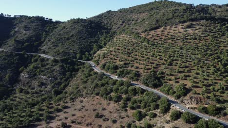 Aerial:-Cars-drive-on-hillside-highway-below-tree-grove-on-arid-slope