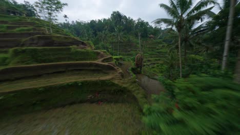 An-Einem-Bewölkten-Tag-Durch-Objekte-Auf-Einem-Terrassierten-Reisfeld-In-Tegallalang-Auf-Bali-Fliegen