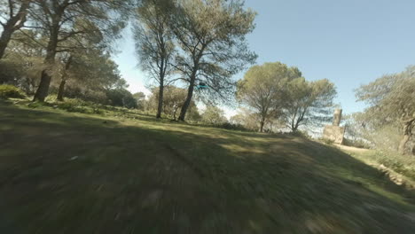 High-frame-rate-FPV-flight-closely-follows-racing-drone-through-trees