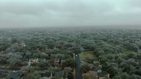 Frozen-icy-trees-in-Austin-Texas-suburban-neighborhood-during-cold-winter-freeze,-aerial-drone-rise-up-above-South-Austin-homes