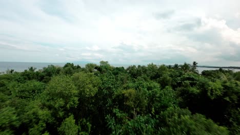 Drone-Flyover-between-cranes-in-dense-tropical-jungle-in-Bohol-Island,-FPV-drone-shot
