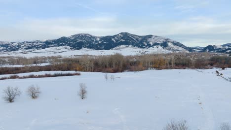 Boseman-Montana-Luftüberflug-Im-Winter-Vorbei-An-Bäumen-über-Einem-Verschneiten-Vorstadtpark-Mit-Bergkulisse-Mit-4K-Drohne-Während-Der-Goldenen-Stunde