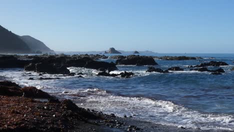 Coastal-rocks-and-seaweed-abound-in-marine-reserve-on-a-beautiful-clear-day---Kaikoura-Coastline