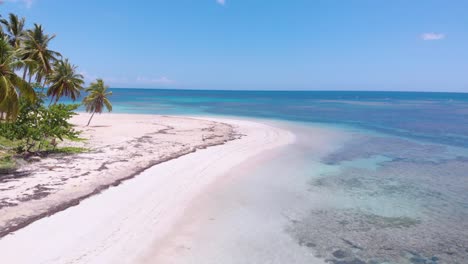 Luftaufnahme-Eines-Einsamen-Karibischen-Strandes-Mit-Türkisfarbenem-Wasser-Und-üppigen-Palmen