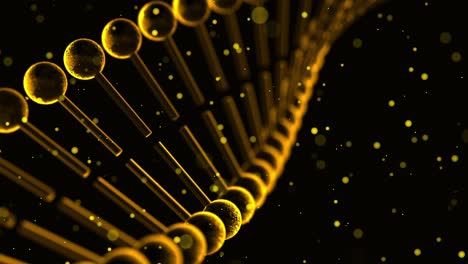 3D-Animation-Rotierender-Goldfarbener-DNA-Stränge-Mit-Schwebenden-Partikeln-Auf-Schwarzem-Hintergrund