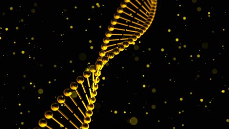 3D-Zoom-Animation-Rotierender-Goldfarbener-DNA-Helix-Stränge-Mit-Schwebenden-Partikeln-Auf-Schwarzem-Hintergrund