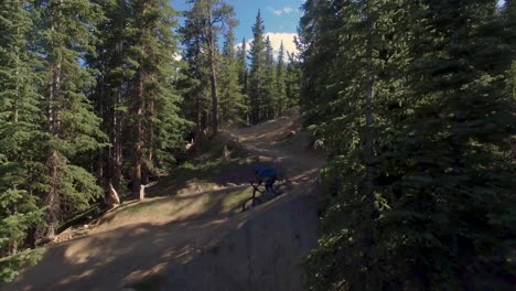 Downhill-mountain-biker-rides-through-technical-switchbacks-in-Keystone,-Colorado
