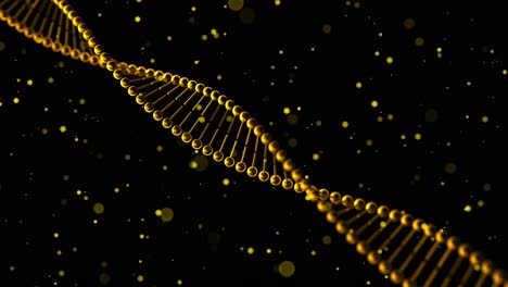 3D-Animation-Rotierender-Goldfarbener-DNA-Stränge-Mit-Schwebenden-Goldpartikeln-Auf-Schwarzem-Hintergrund