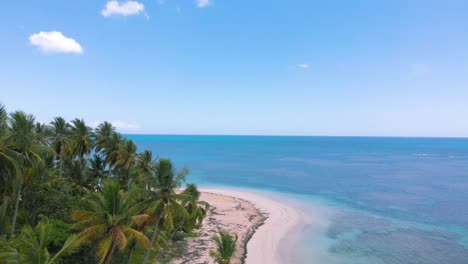 Luftaufnahme-Eines-Einsamen-Karibischen-Strandes-Mit-üppigen-Palmen-Und-Türkisfarbenem-Wasser
