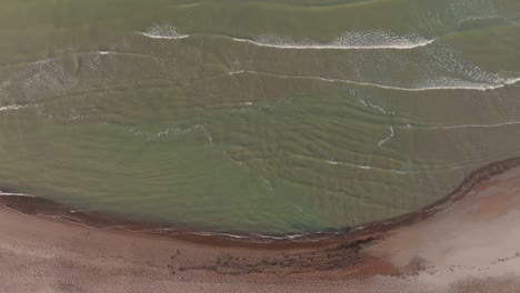 Luftaufnahme:-Grünliches-Oder-Mit-Anderen-Worten-Blühendes-Meerwasser-Wäscht-Am-Frühen-Herbstmorgen-Den-Sand-Des-Strandes