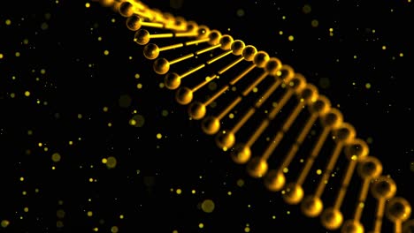 3D-Animation-Rotierender,-Verdrehter,-Goldfarbener-DNA-Stränge-Mit-Schwebenden-Partikeln-Auf-Schwarzem-Hintergrund