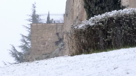 Nieve-Cayendo-Junto-A-Un-Arbusto