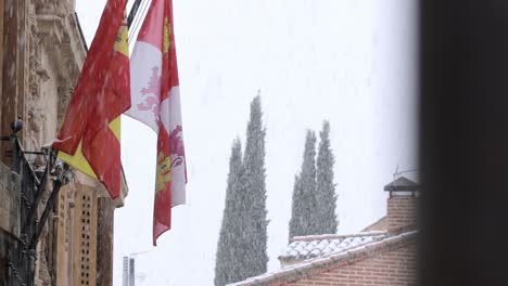 Castile-and-Leon-flag-hanging-from-institutional-building-in-a-winter-day