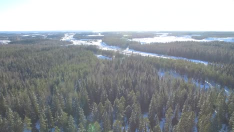 Volando-Sobre-Un-Bosque-De-Invierno-Finlandés