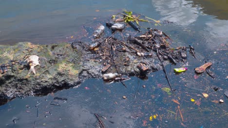 Stark-Verschmutzte-Meeresküste-Mit-Schwimmendem-Müll,-Toten-Fischen-Und-Öl