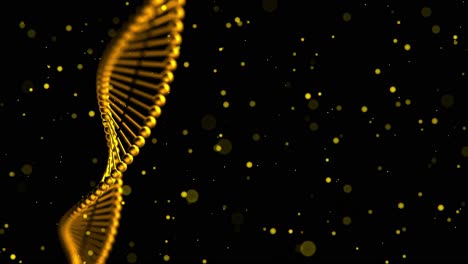 3D-Animation-Verdrehter-Goldfarbener-DNA-Stränge-Mit-Schwebenden-Partikeln-Auf-Schwarzem-Hintergrund