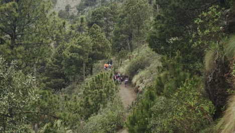 Group-of-hikers-walking-on-a-green-lush-mountain-forest-trail
