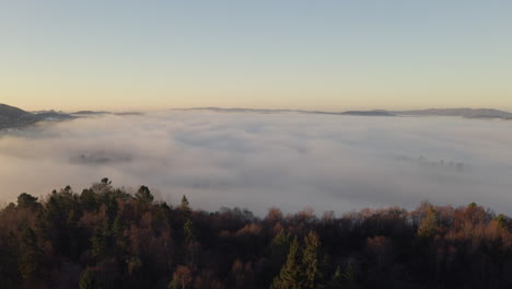 Aerial-shot-over-a-hill-with-trees-peaking-up-over-the-clouds-during-inversion