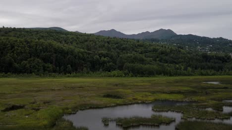 4K-Luftdrohnenaufnahmen-Eines-Feuchtgebietssumpfes-In-Alaska-Im-Sommer