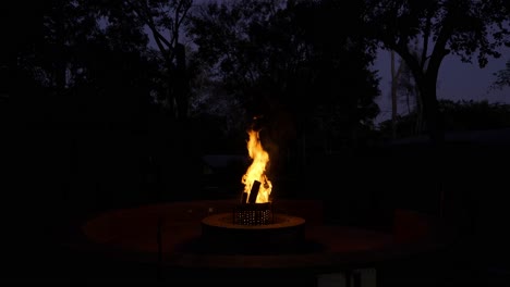 Beautiful-Bonfire-Out-In-Nature-At-Evening-Time