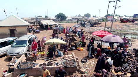 Outdoor-fish-market-on-the-Benue-River-in-Ibi-Town,-Nigeria---aerial-flyover