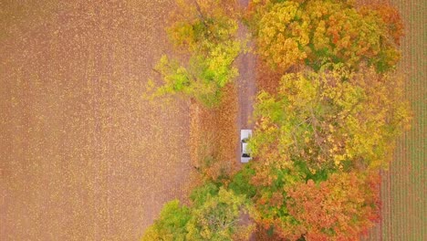 Drone-shot-top-down-of-a-car-riding-through-colorfull-trees