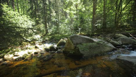 Flowing-river-through-green-mountain-forest-in-summer,-25-fps