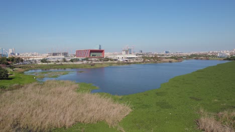 An-artificial-lake-with-grass-around-it-and-a-commercial-area-next-to-it