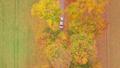 Disparo-De-Drones-De-Un-Automóvil-Atravesando-árboles-Coloridos
