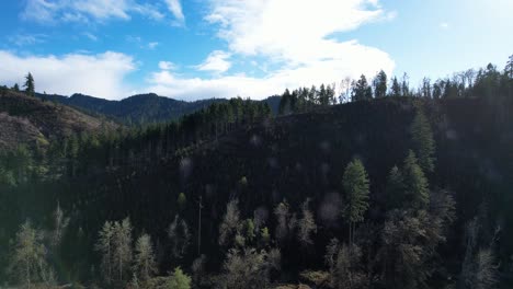 Beautiful-4K-aerial-drone-shot-overlooking-tree-landscape-in-Southern-Oregon