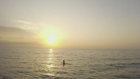 4k-Aerial---Man-paddle-boarding-stand-up-during-sunset---sun-flare