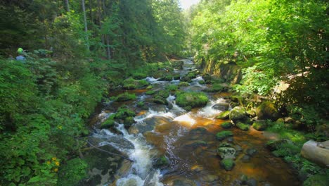 Fließender-Fluss-Durch-Grünen-Bergwald-Im-Sommer,-50-Fps-Zeitlupe