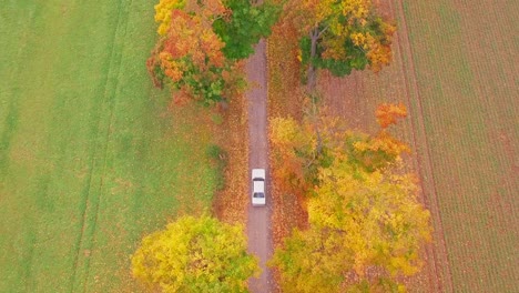 Drone-shot-of-a-car-riding-through-colorfull-trees