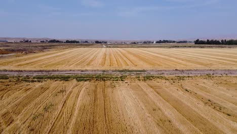 Drone-footage-of-harvested-wheat-fields-in-the-summertime