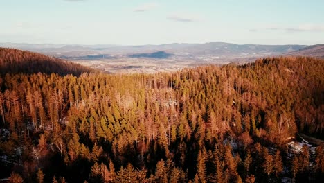 Drone-shot-of-a-polish-mountains-forest-during-autumn-during-sunset