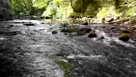 River-Dart-on-the-edge-of-Dartmoor-National-Park-in-England,-UK,-showing-the-tranquility-of-the-river-in-woodlands