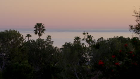 Sunset-timelapse-of-palm-trees-and-glassy-ocean-on-a-spring-day-in-Malibu,-California