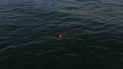 Shark-Drum-line-buoy-in-the-ocean-at-Bondi,-Sydney-Australia