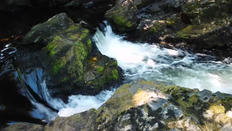 Kleine-Wasserfälle-Am-Fluss-Dart-Am-Rande-Des-Nationalparks-Dartmoor,-England,-Vereinigtes-Königreich