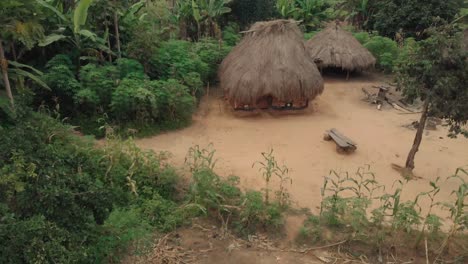 Thatched-mud-hut-house-in-ancient-Africa-rural-village-compound