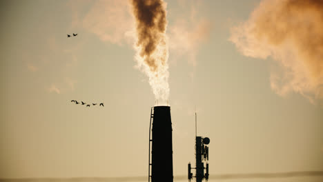 Industrial-Factory-Chimney-Emitting-Thick-Toxic-Smoke-into-Atmosphere-as-Flocks-of-Birds-Fly-Overhead