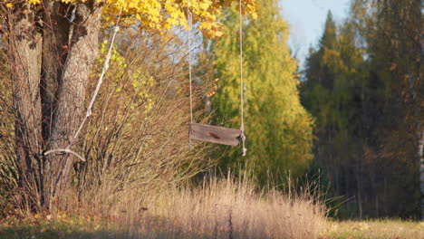 Swing-hanging-from-a-tree-with-yellow-fall-leaves