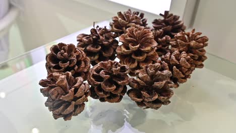 Pine-nut-cones-are-displayed-during-the-Gulfood-Exhibition-in-the-United-Arab-Emirates